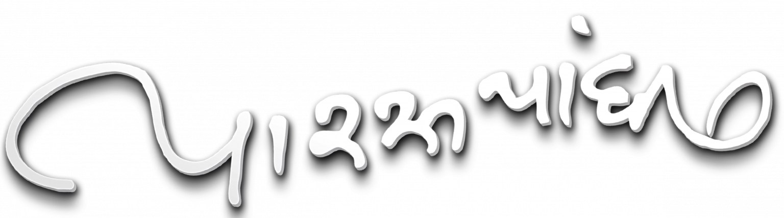 Paras Pandhi signature